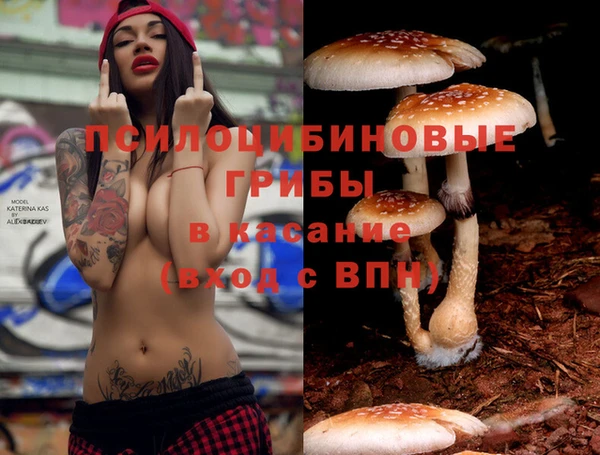 мдма Козельск