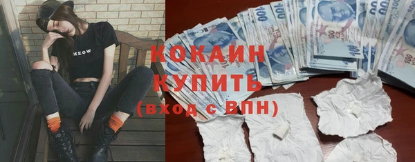 дживик Алзамай