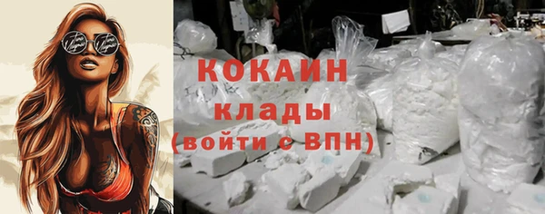 дживик Алзамай