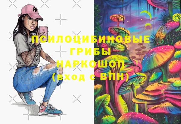 дживик Алзамай