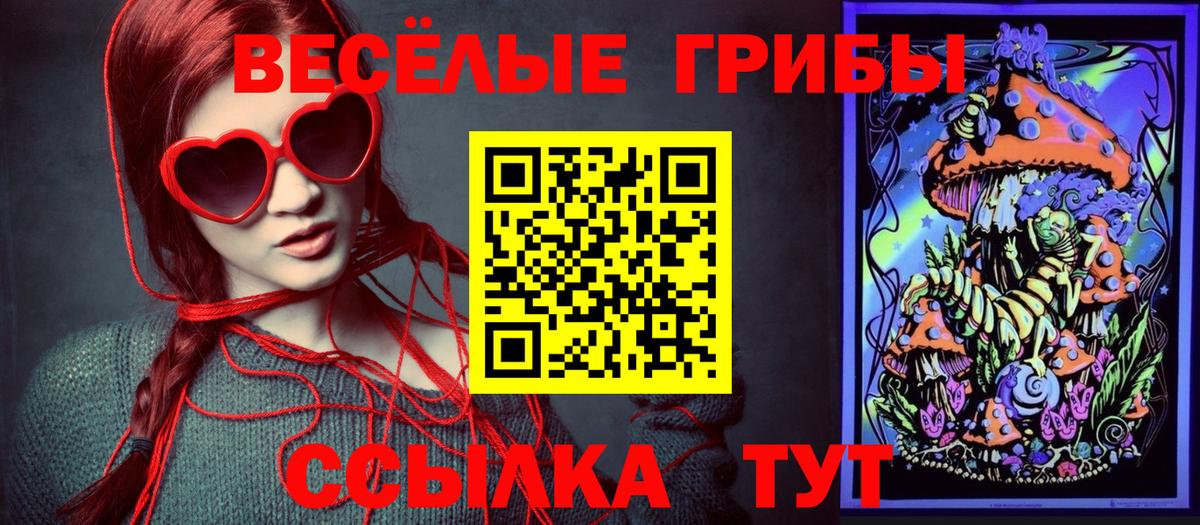Галлюциногенные грибы Psilocybe Нижний Новгород
