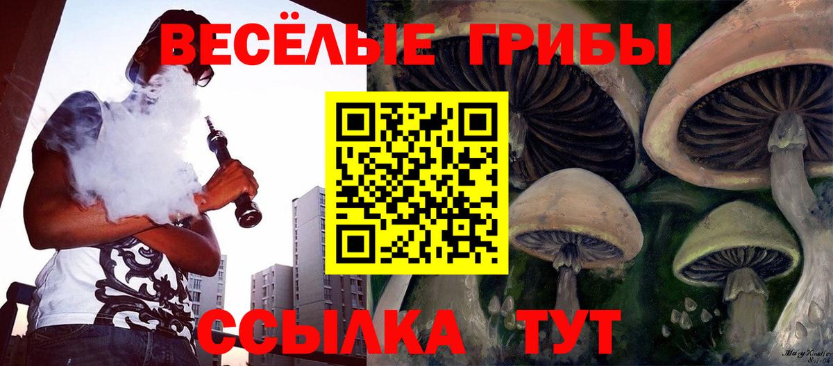 Псилоцибиновые грибы Psilocybe  Вход с VPN  Нижний Новгород 
